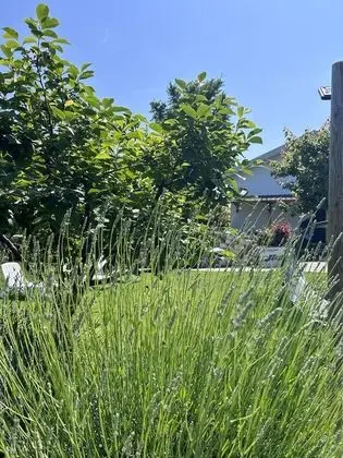 Villa, Birden Çok Yatak