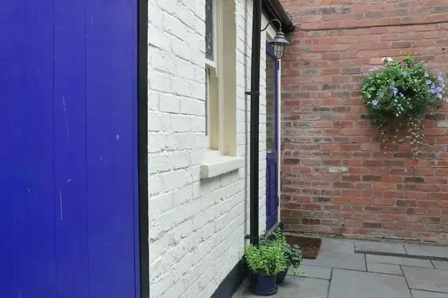 Ev, 1 En Büyük (King) Boy Yatak ve Çekyat