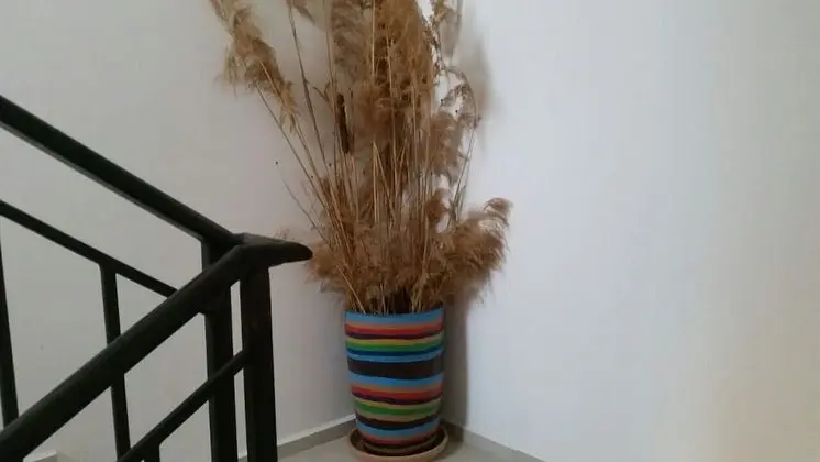 Apart Daire, 2 Tek Kişilik Yatak