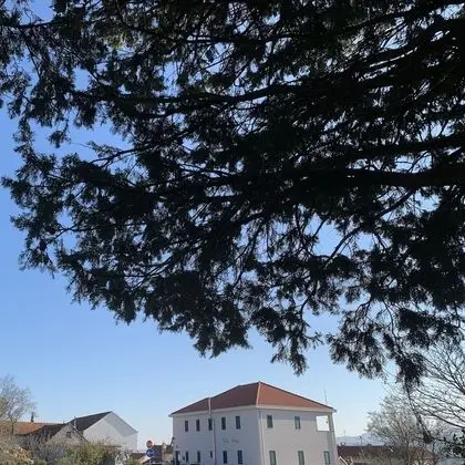 Apart Daire, 2 Yatak Odası, Balkon