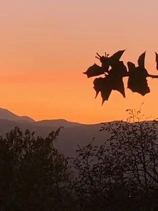 Apart Daire, 2 Yatak Odası, Balkon