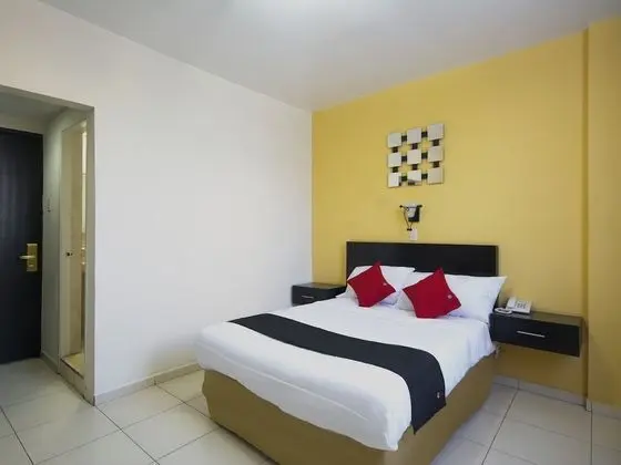 Standard Tek Büyük Yataklı Oda, 1 Çift Kişilik Yatak