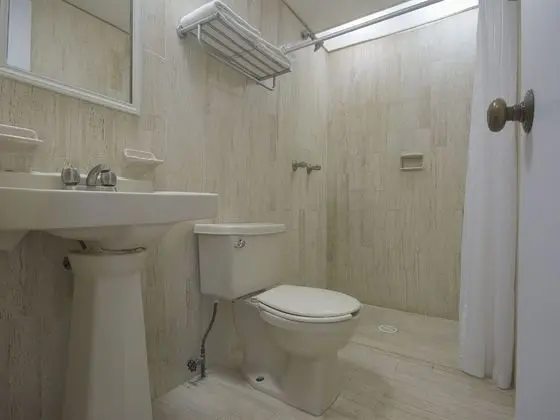 Standard Tek Büyük Yataklı Oda, 1 Çift Kişilik Yatak