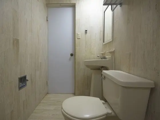 Standard Tek Büyük Yataklı Oda, 1 Çift Kişilik Yatak