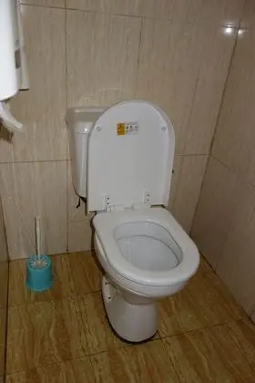 Süit