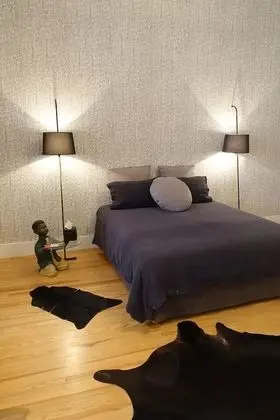 Superior Tek Büyük Yataklı Oda, Özel Banyo (Chambre noire)