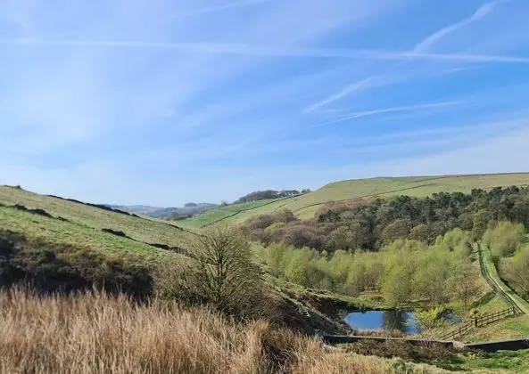 Apart Daire, 1 Büyük (Queen) Boy Yatak