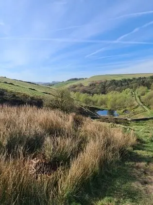 Apart Daire, 1 Büyük (Queen) Boy Yatak