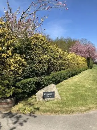 Kır Evi, 1 En Büyük (King) Boy Yatak