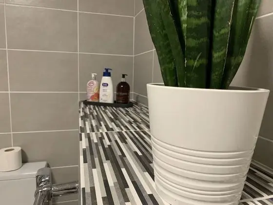 Apart Daire, Birden Çok Yatak