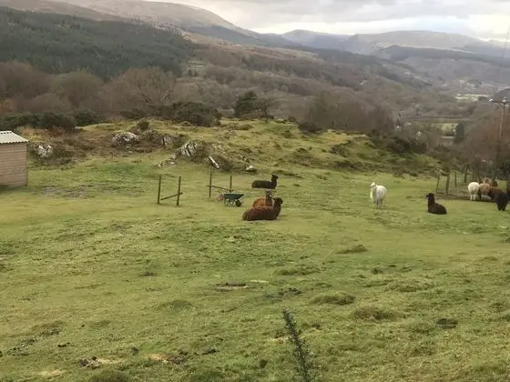 Kır Evi, Birden Çok Yatak