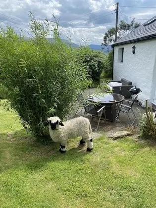 Kır Evi, Birden Çok Yatak