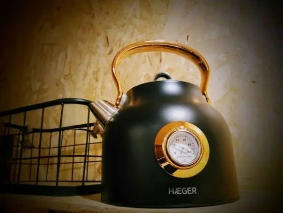 Villa, 2 Büyük (Queen) Boy Yatak