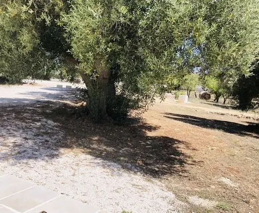 Villa, Birden Çok Yatak