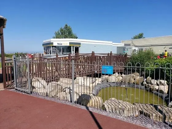 Kulübe, Birden Çok Yatak