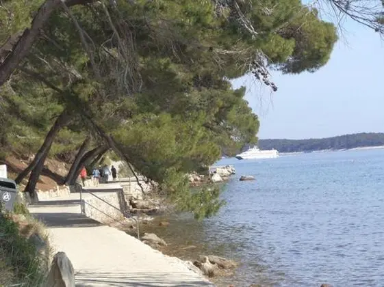 Apart Daire, Birden Çok Yatak