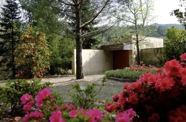 Ev, Birden Çok Yatak