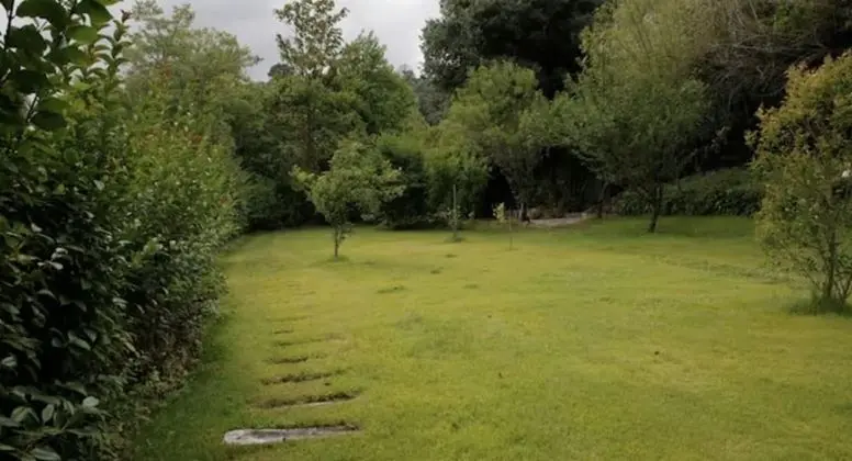 Ev, Birden Çok Yatak