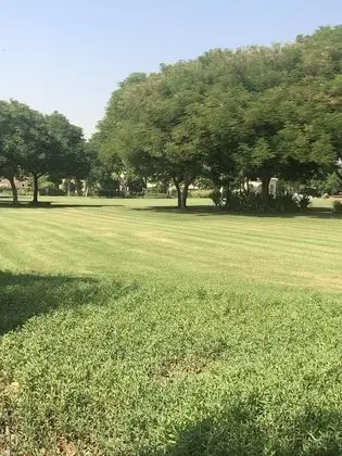 Villa, Birden Çok Yatak