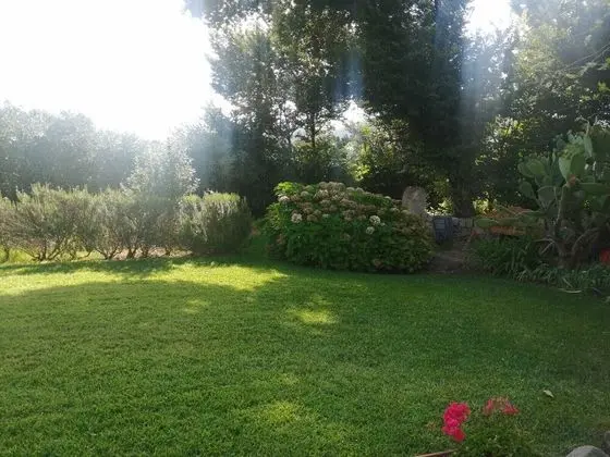 Villa, Birden Çok Yatak