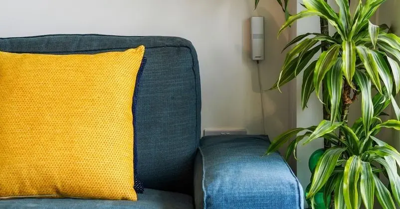 Apart Daire, 1 Büyük (Queen) Boy Yatak