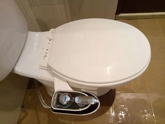 Ev