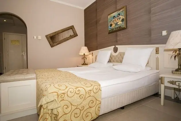 Tek Büyük Yataklı Oda, Balkon, Park Manzaralı