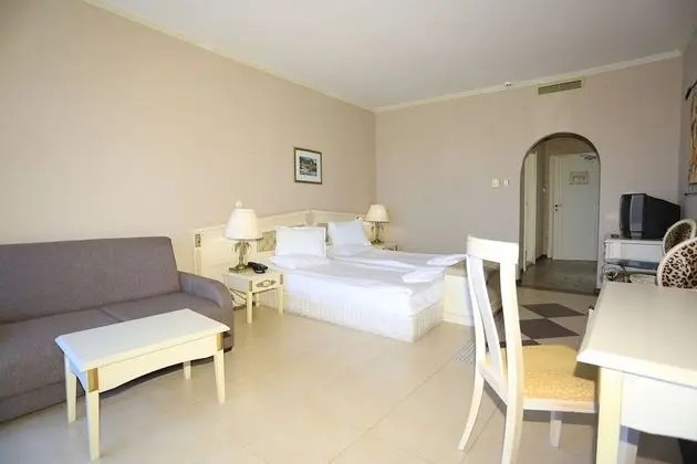 Tek Büyük Yataklı Oda, Balkon, Park Manzaralı