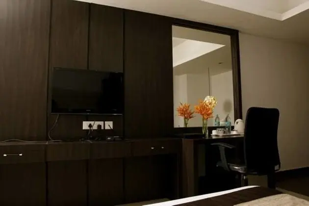 Executive Tek Büyük Yataklı Oda, 1 Çift Kişilik Yatak, Özel Banyo, Şehir Manzaralı