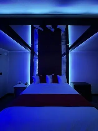 Deluxe Tek Kişilik Oda, 1 En Büyük (King) Boy Yatak, Sigara İçilmez