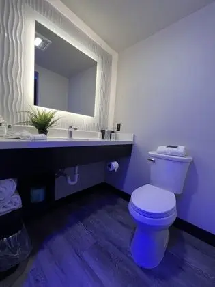Deluxe Tek Kişilik Oda, 1 En Büyük (King) Boy Yatak, Sigara İçilmez