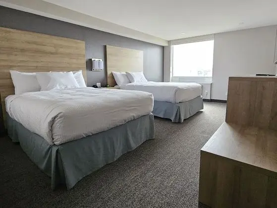 Standard Süit, 2 Büyük (Queen) Boy Yatak (Standard Suite 2 Queen Beds)