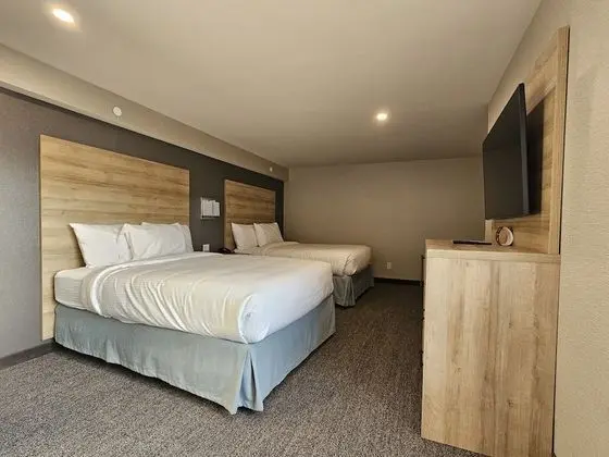 Standard Süit, 2 Büyük (Queen) Boy Yatak (Standard Suite 2 Queen Beds)