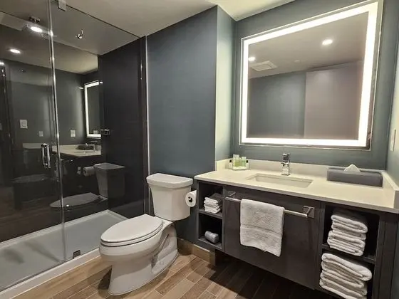 Standard Süit, 2 Büyük (Queen) Boy Yatak (Standard Suite 2 Queen Beds)