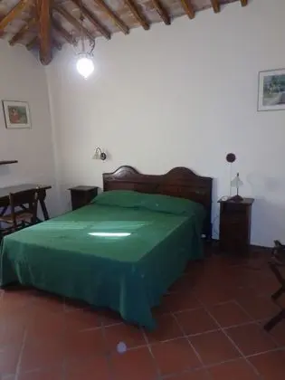 Classic Tek Büyük veya İki Ayrı Yataklı Oda, Bahçe Manzaralı