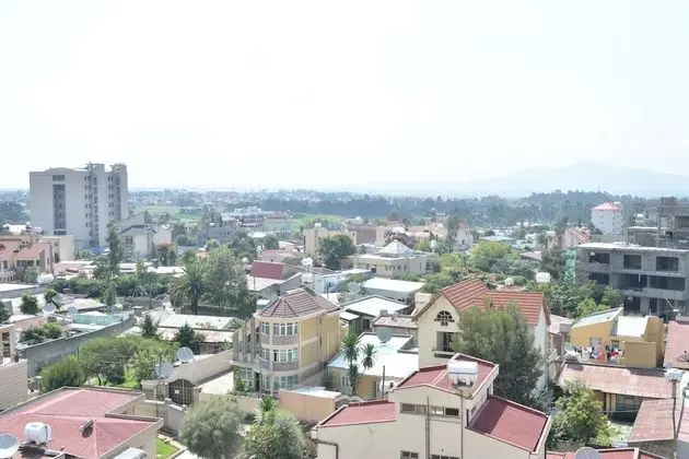 Süit