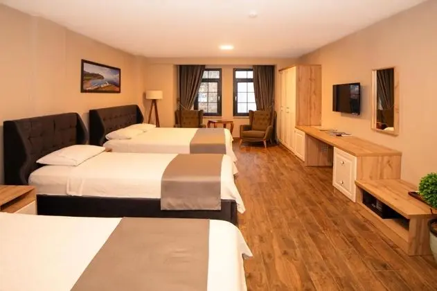Deluxe Aile Odası, Sokak Manzaralı, Balkonsuz