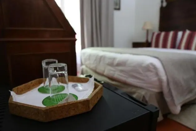 Standard İki Ayrı Yataklı Oda, Dağ Manzaralı