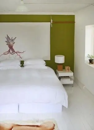 Kır Evi (Olive)