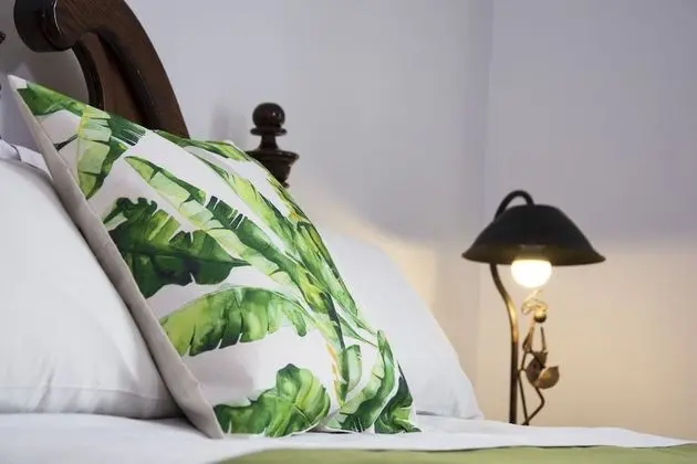 Deluxe İki Ayrı Yataklı Oda, 1 Yatak Odası