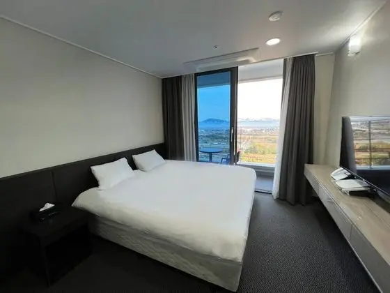 Deluxe King (Park Ocean View)