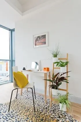 Studio Twin Suite