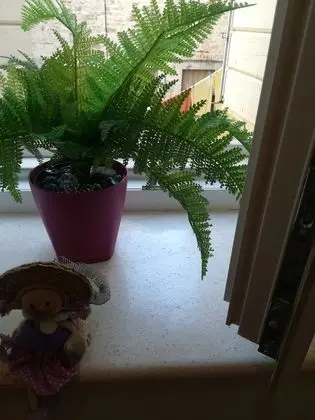 Standard Tek Büyük veya İki Ayrı Yataklı Oda (R2)