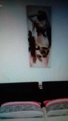 Standard Tek Büyük veya İki Ayrı Yataklı Oda (R2)