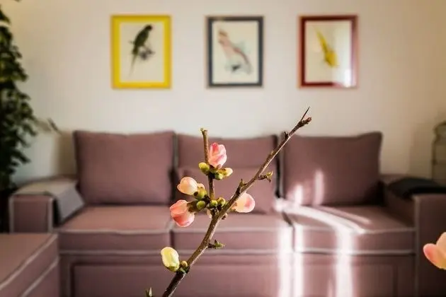 Classic Apart Daire, 2 Yatak Odası