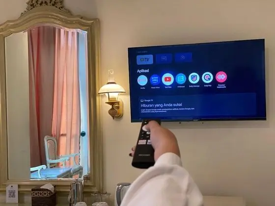 Televizyon