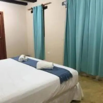Tek Büyük Yataklı Oda, Özel Banyo, Bahçe Manzaralı (A/C)