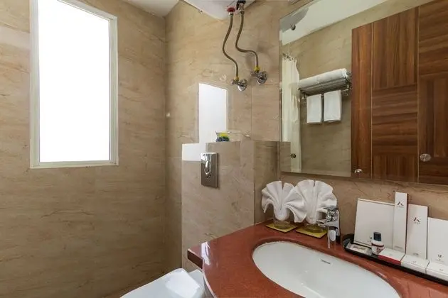 Superior Oda, 1 Çift Kişilik Yatak, Özel Banyo, Şehir Manzaralı