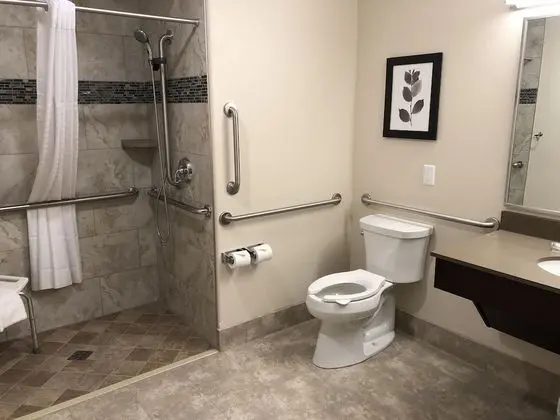 Standard King Room ADA