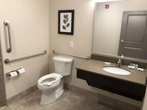 Standard King Room ADA